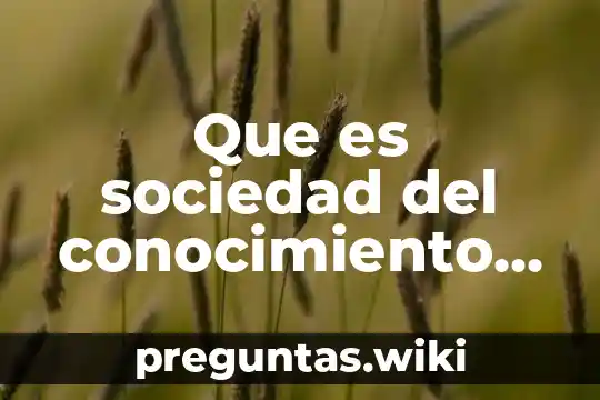 Que es sociedad del conocimiento yahoo