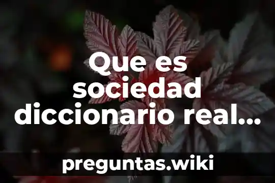 Que es sociedad diccionario real academia española