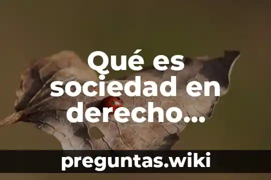 Qué es sociedad en derecho laboral