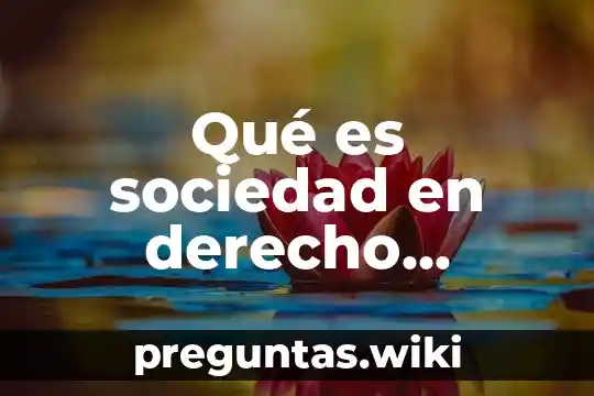 Qué es sociedad en derecho mercantil