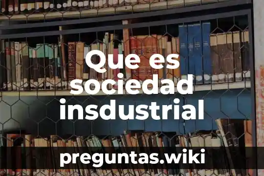 Que es sociedad insdustrial