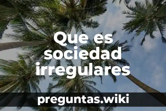 Que es sociedad irregulares