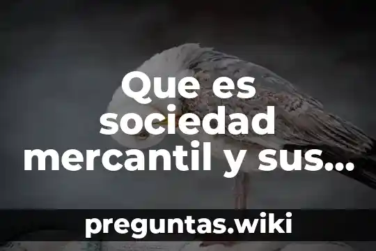 Que es sociedad mercantil y sus caracteristicas