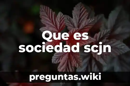Que es sociedad scjn