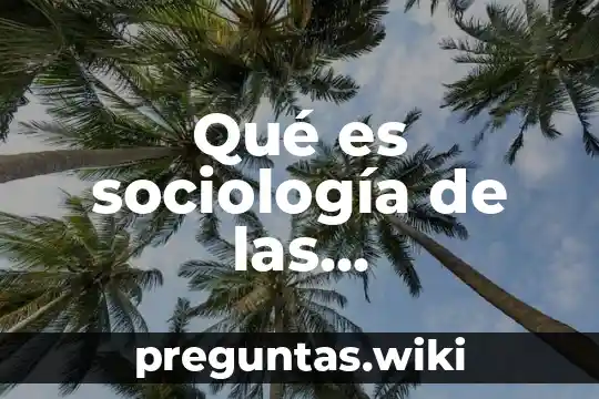 Qué es sociología de las organizaciones concepto