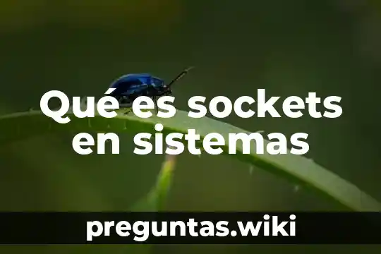 Qué es sockets en sistemas