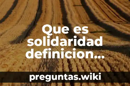 Que es solidaridad definicion corta