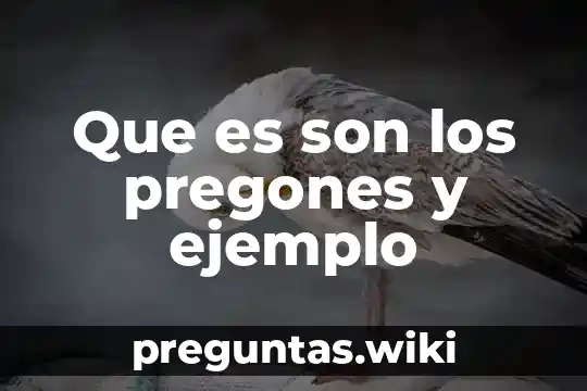 Que es son los pregones y ejemplo