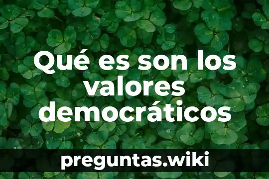 Qué es son los valores democráticos