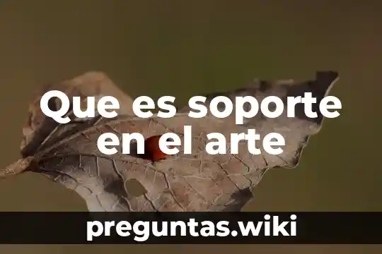 Que es soporte en el arte