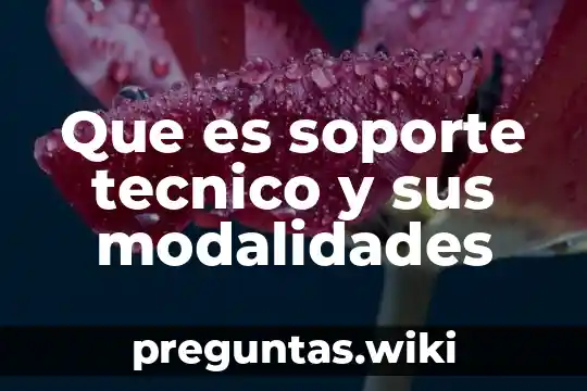 Que es soporte tecnico y sus modalidades