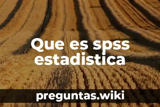 Que es spss estadistica