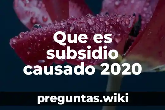 Que es subsidio causado 2020