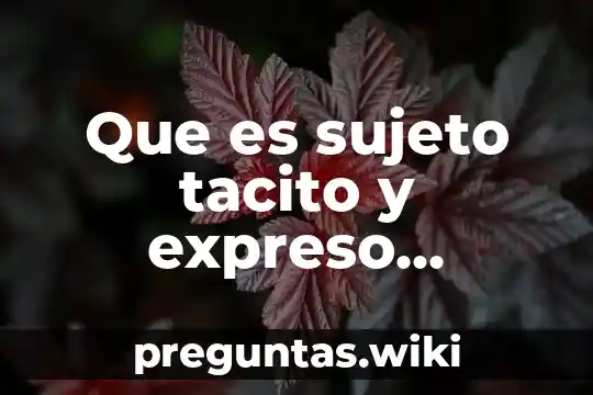 Que es sujeto tacito y expreso ejemplos