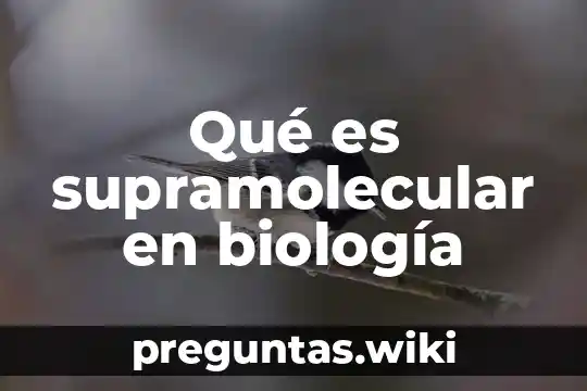 Qué es supramolecular en biología