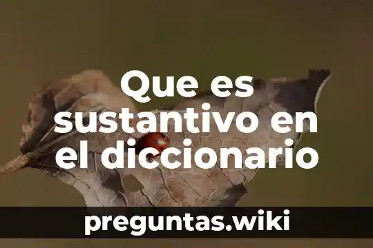 Que es sustantivo en el diccionario