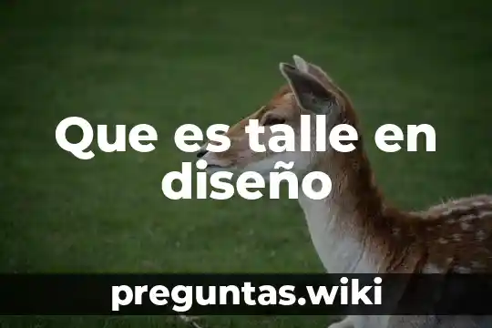 Que es talle en diseño