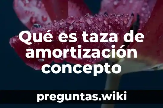 Qué es taza de amortización concepto