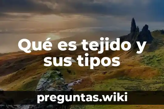 Qué es tejido y sus tipos