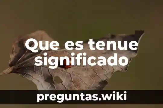 Que es tenue significado