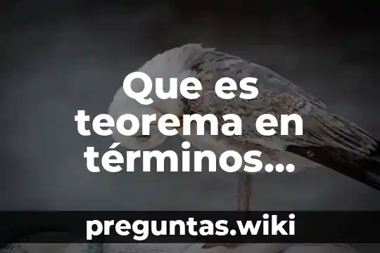 Que es teorema en términos quimica