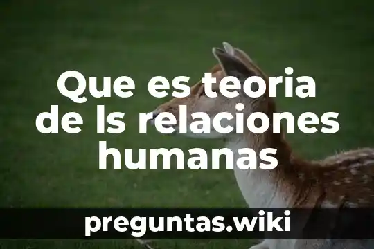 Que es teoria de ls relaciones humanas