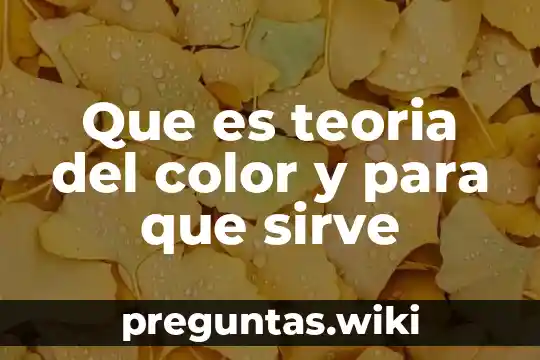 Que es teoria del color y para que sirve