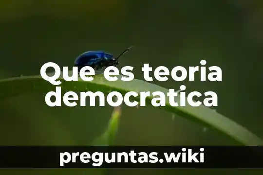 Que es teoria democratica