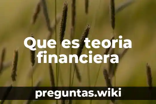 Que es teoria financiera