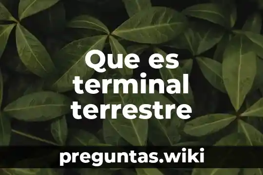Que es terminal terrestre