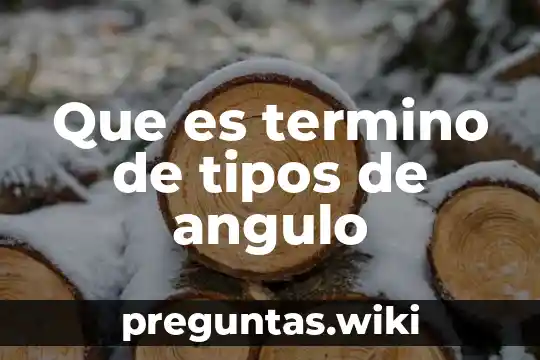 Que es termino de tipos de angulo