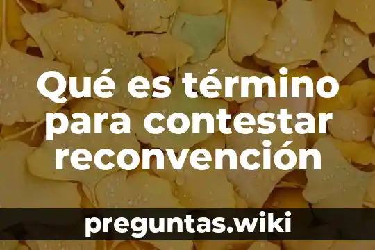 Qué es término para contestar reconvención