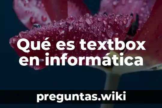 Qué es textbox en informática