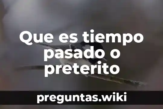Que es tiempo pasado o preterito