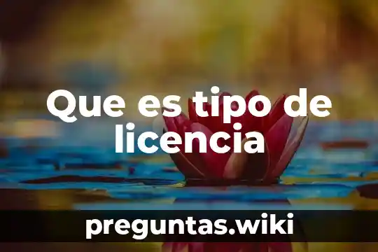 Que es tipo de licencia