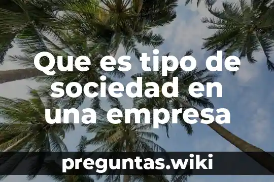 Que es tipo de sociedad en una empresa