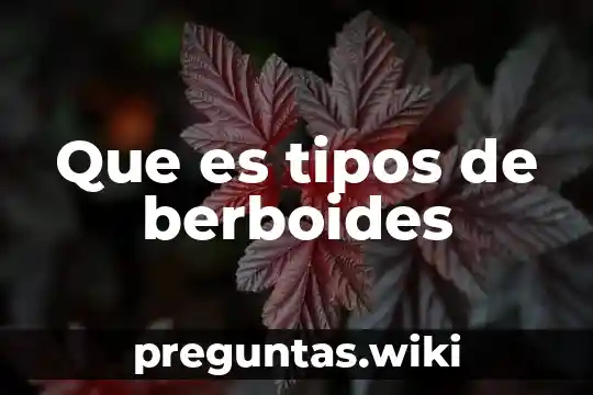 Que es tipos de berboides