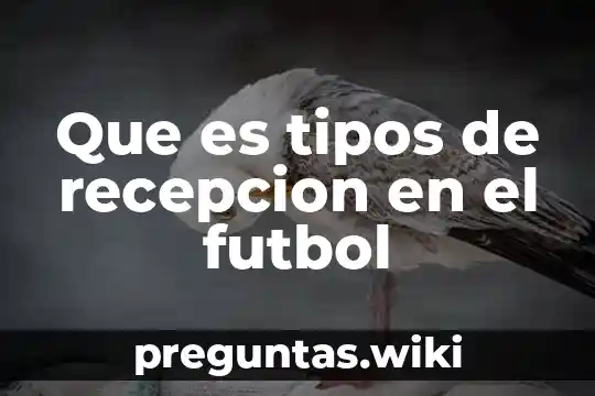Que es tipos de recepcion en el futbol