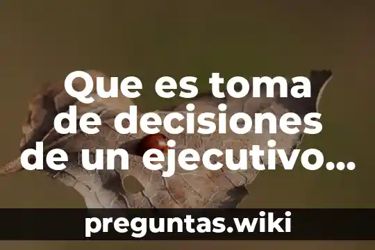 Que es toma de decisiones de un ejecutivo Yahoo