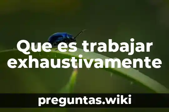 Que es trabajar exhaustivamente