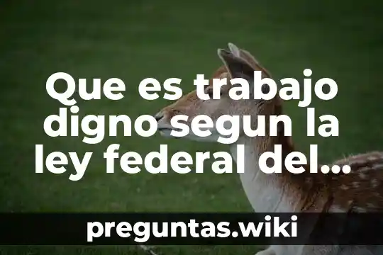 Que es trabajo digno segun la ley federal del trabajo
