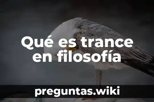 Qué es trance en filosofía