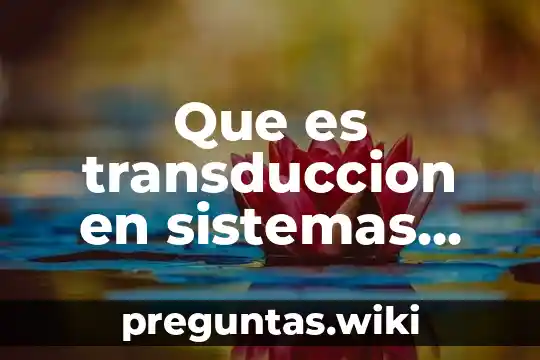 Que es transduccion en sistemas sensoriales