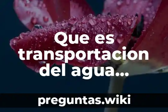 Que es transportacion del agua animadas