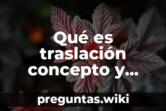 Qué es traslación concepto y ejemplo