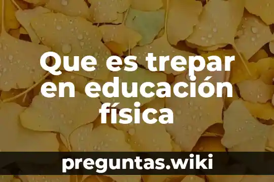 Que es trepar en educación física