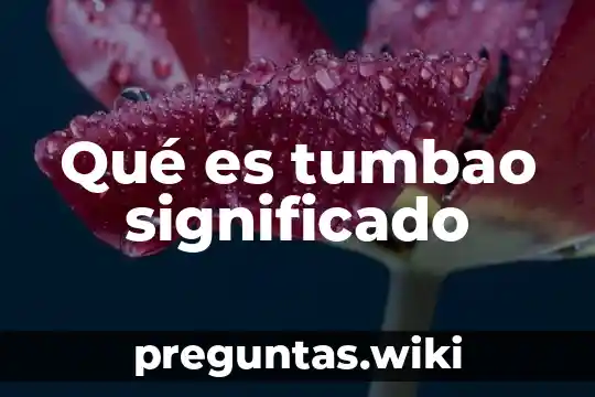 Qué es tumbao significado