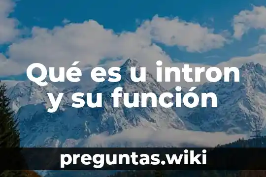 Qué es u intron y su función