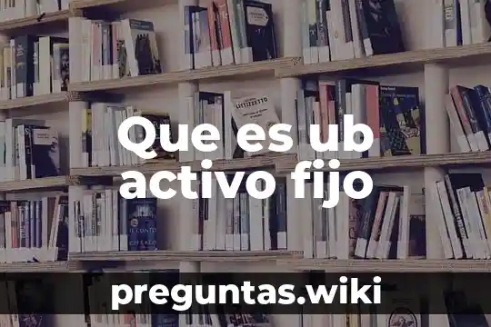 Que es ub activo fijo