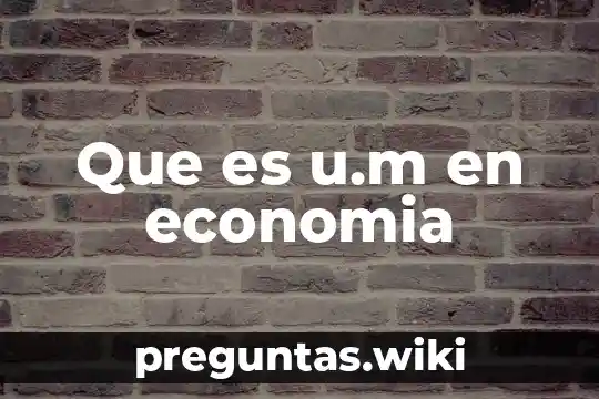 Que es u.m en economia